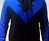 Nightwing Hoodie Nightwing Hoodie