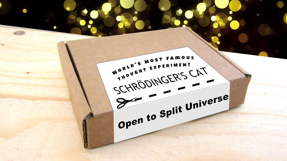 Schrodinger's Cat in a Box Thought Experiment Schrodinger's Cat in a Box Thought Experiment