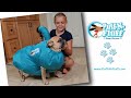 Puff-N-Fluff Dog Dryer