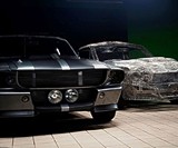 Wire Mustang