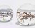 Self Sustaining Ecosphere Self Sustaining Ecosphere