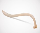 Texas Toothpick