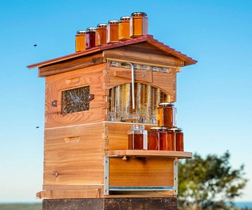 Flow Hives Langstroth-Style Cedar Beehive