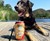 Busch Dog Brew Busch Dog Brew