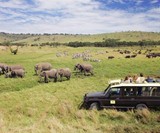 Abercrombie & Kent Private Jet Tour of Africa