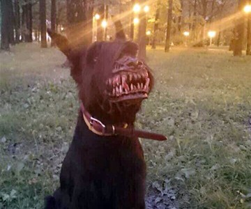 Werewolf Dog Muzzle Werewolf Dog Muzzle
