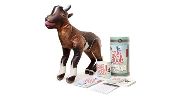 Goat Yoga Party Game Goat Yoga Party Game