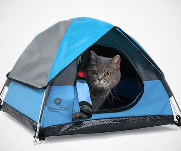 Cat Camp Cat Tents Cat Camp Cat Tents