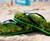 Grass Flip Flops Grass Flip Flops