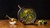 14 Charming Design Gifts for 2020 14 Charming Design Gifts for 2020