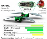 Robot Dragonfly - Gamma Model