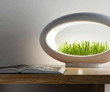 Grasslamp Modern Desktop Garden Grasslamp Modern Desktop Garden