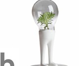 Domsai Terrariums-5511