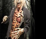Movie Quality Zombie Costume