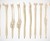 Human Bones Ballpoint Pen Set Human Bones Ballpoint Pen Set