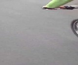 Walky Dog Hands-Free Bicycle Leash