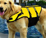 Life Vest