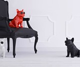 AeroBull Speakers