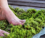 Moss Carpet - Living Bath Mat