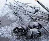 Steel Roses