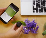 Nix Mini Color Sensor