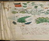 The Voynich Manuscript
