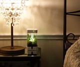 OrchidBox Smart Mini Terrarium