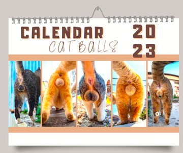 20 White Elephant Gifts for 2022 20 White Elephant Gifts for 2022