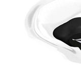 Decibullz Custom Molded Earphones