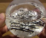 Self Sustaining Ecosphere