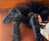 Giant Stuffed Tarantula