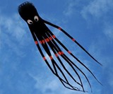 Octopus Kite