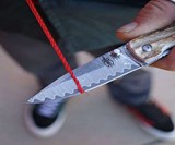 Stag Folding Knife
