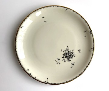 Evelyn Bracklow Ants Dinnerware