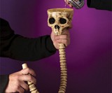 Skull & Spine Beer Bong