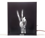 X-Ray Lightbox - The Longbowman
