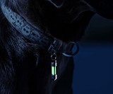 Glow Rhino Tritium EDC Gear