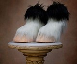 Creature Feet Shoes
