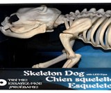 Skeleton Dog with LED Eyes