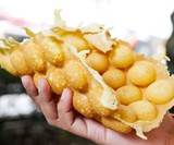 Bubble Waffle Pan