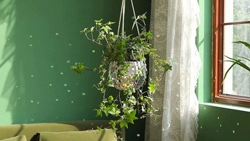 Festive: Hanging Disco Ball Planter Festive: Hanging Disco Ball Planter