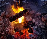 Pit Boss Fire Pit Poker & World's Largest Bottle Opener