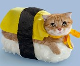 SushiCat