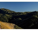 340 N Kanan Dume Rd Malibu, CA-2218