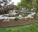 LandShark Pound-In Landscape Edging