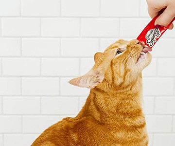 Delectables SqueezeUps - Go-Gurt for Cats Delectables SqueezeUps - Go-Gurt for Cats