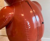 Inflatable Bear Suit