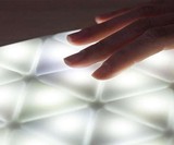 Kangaroo Light