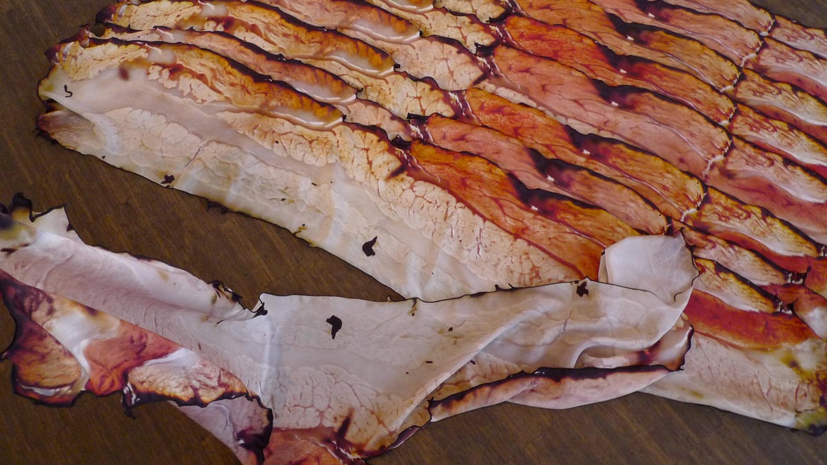 Fou Lard Bacon Scarf Fou Lard Bacon Scarf