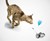 Mousr Interactive Robotic Cat Toy Mousr Interactive Robotic Cat Toy